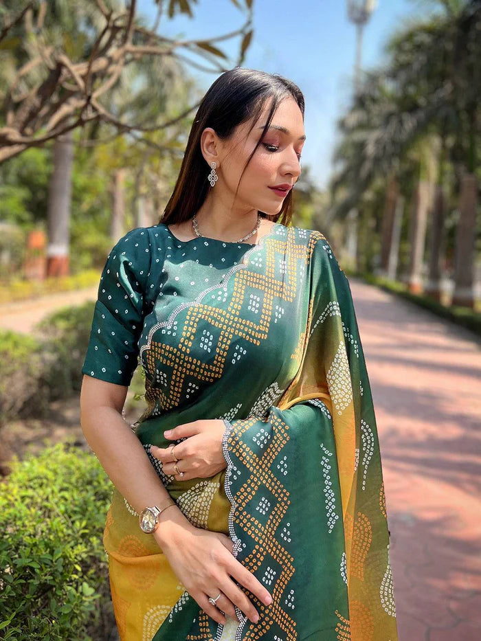 Georgette Silk Saree with Ombre Bandhej Print & Swaroski Stone Work
