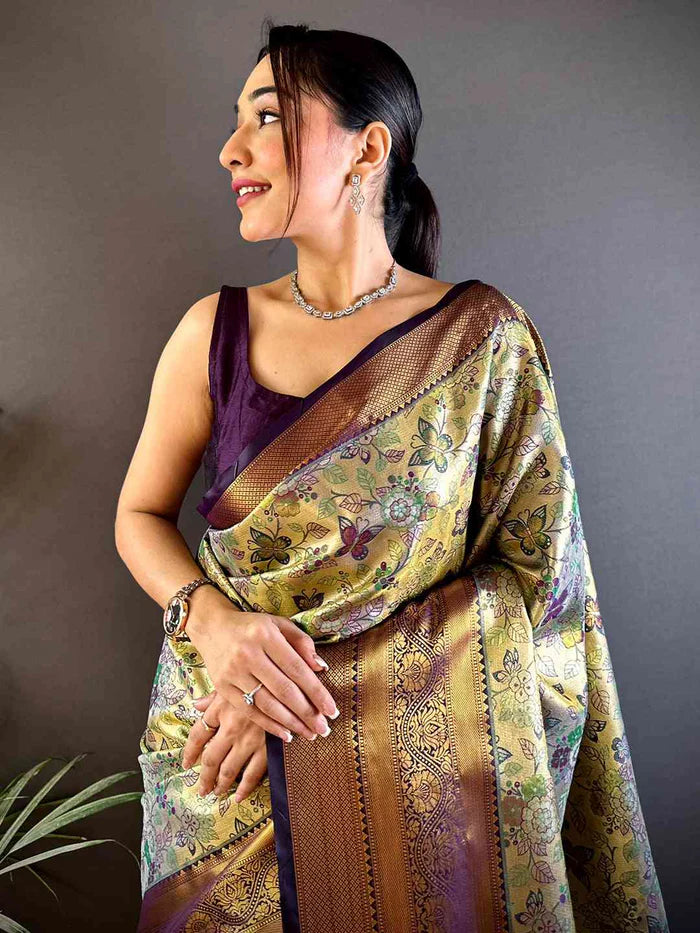 Red Dharmavaram Butterfly Silk Saree