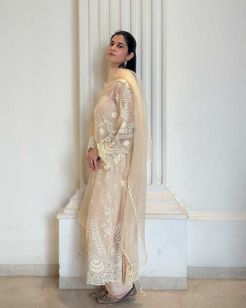 Noor Elegance  pure organza Suit Set