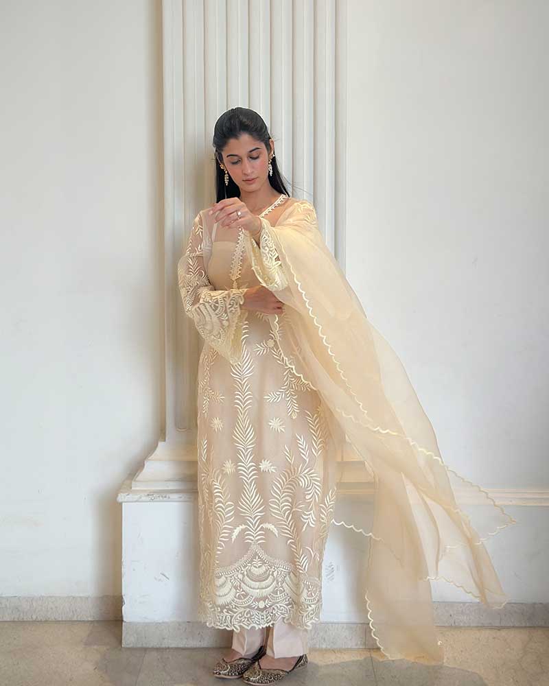Noor Elegance  pure organza Suit Set