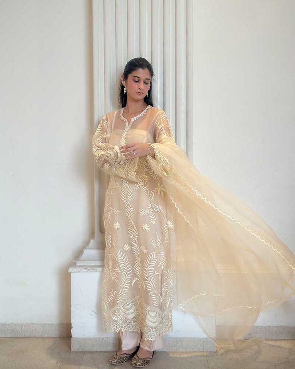 Soft Pure Organza Kurta Set