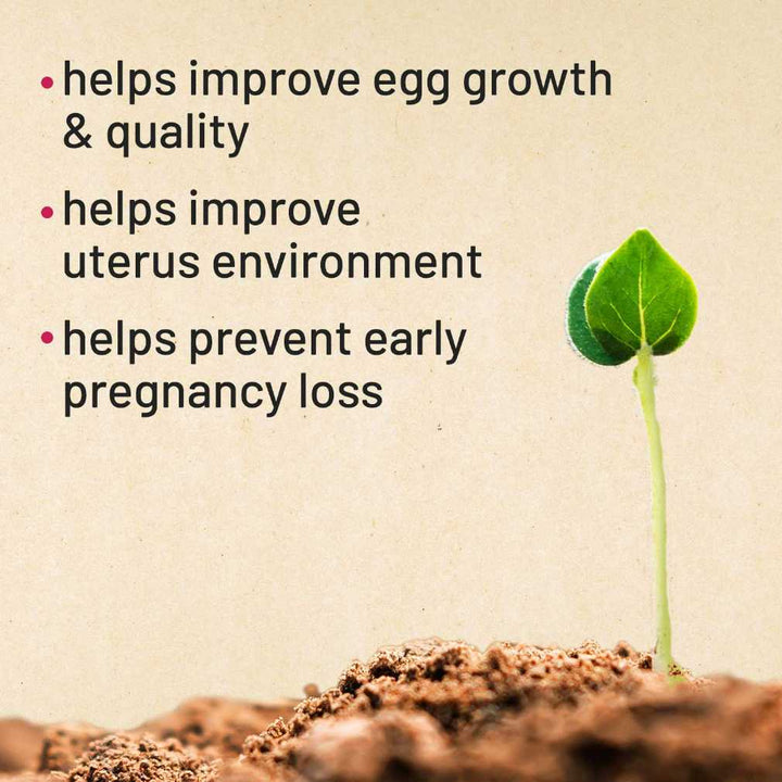 Fertility Ayurvedic Tablet