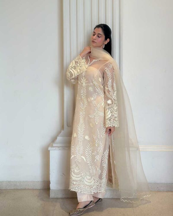 Soft Pure Organza Kurta Set
