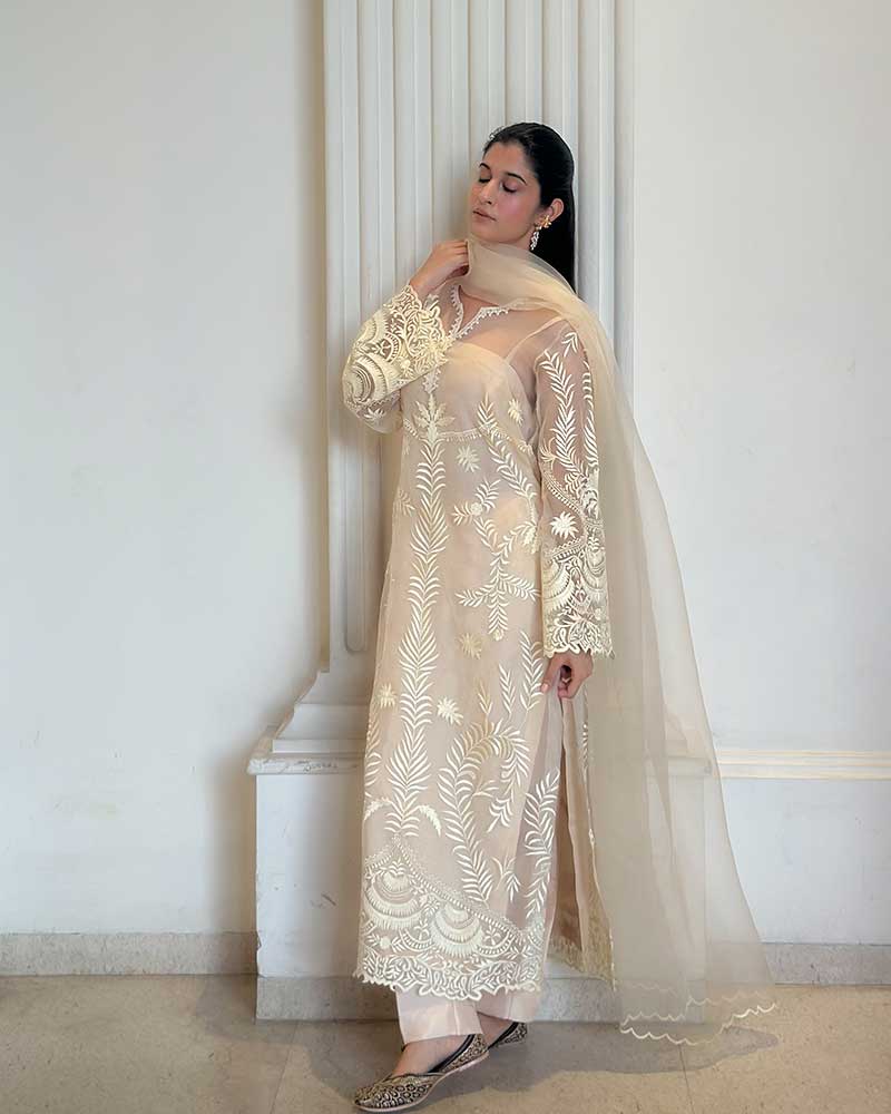 Noor Elegance  pure organza Suit Set