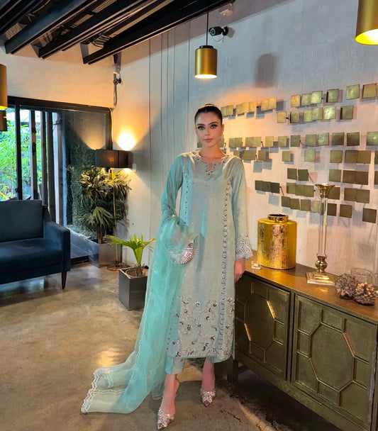 Pakistani Inspired Suit