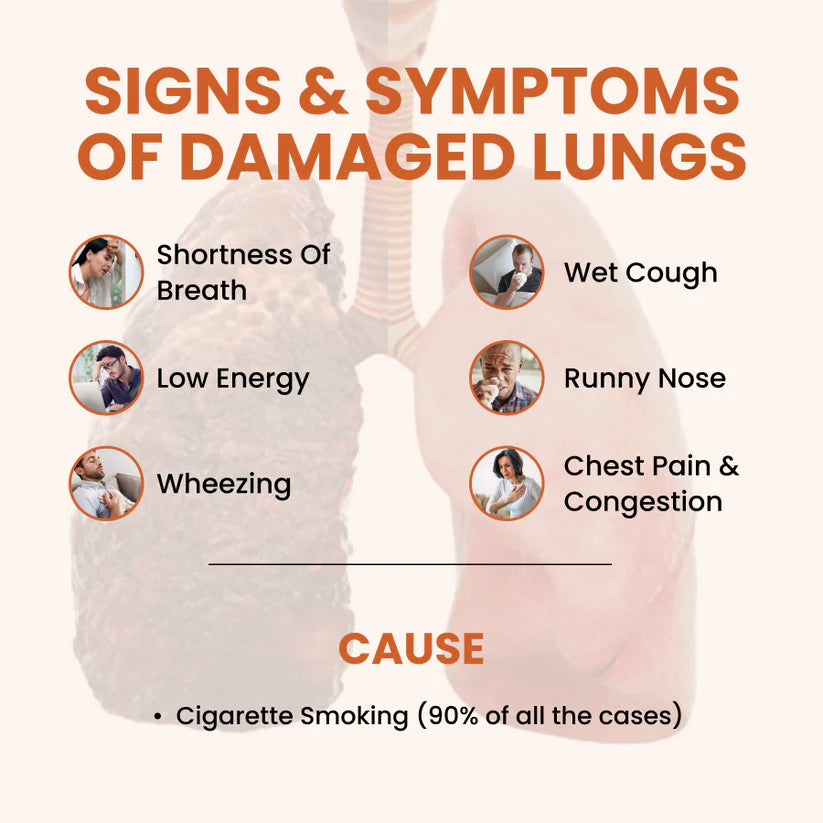 Ayurvedic Holo Lung Detox Tablets For Smokers