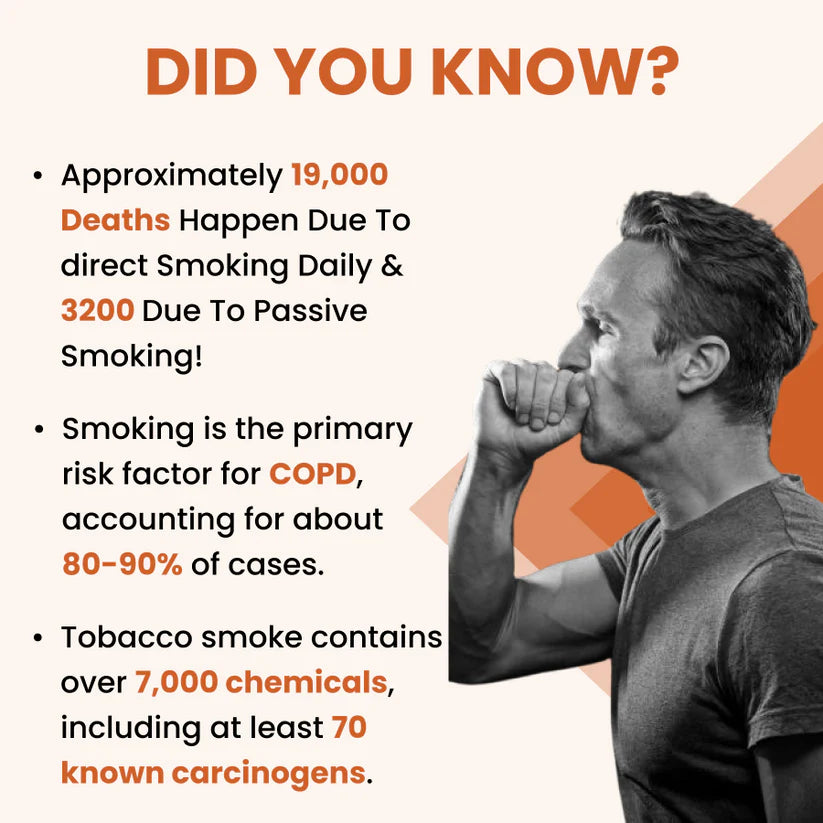 Ayurvedic Holo Lung Detox Tablets For Smokers