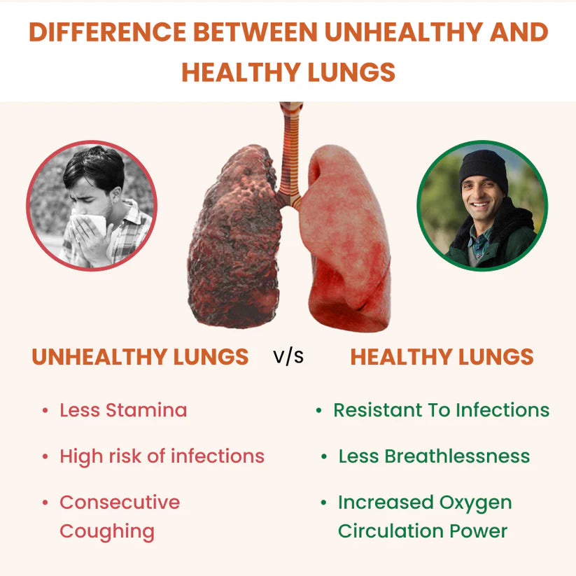 Ayurvedic Holo Lung Detox Tablets For Smokers