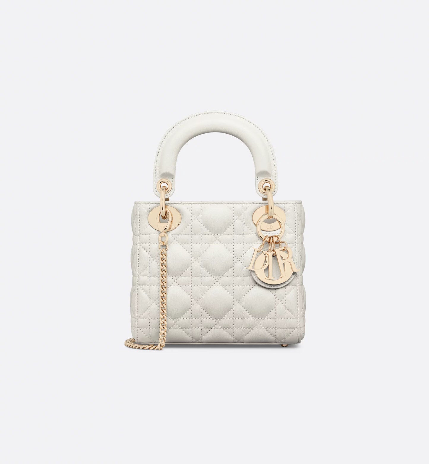 The Iconic Dior Bag