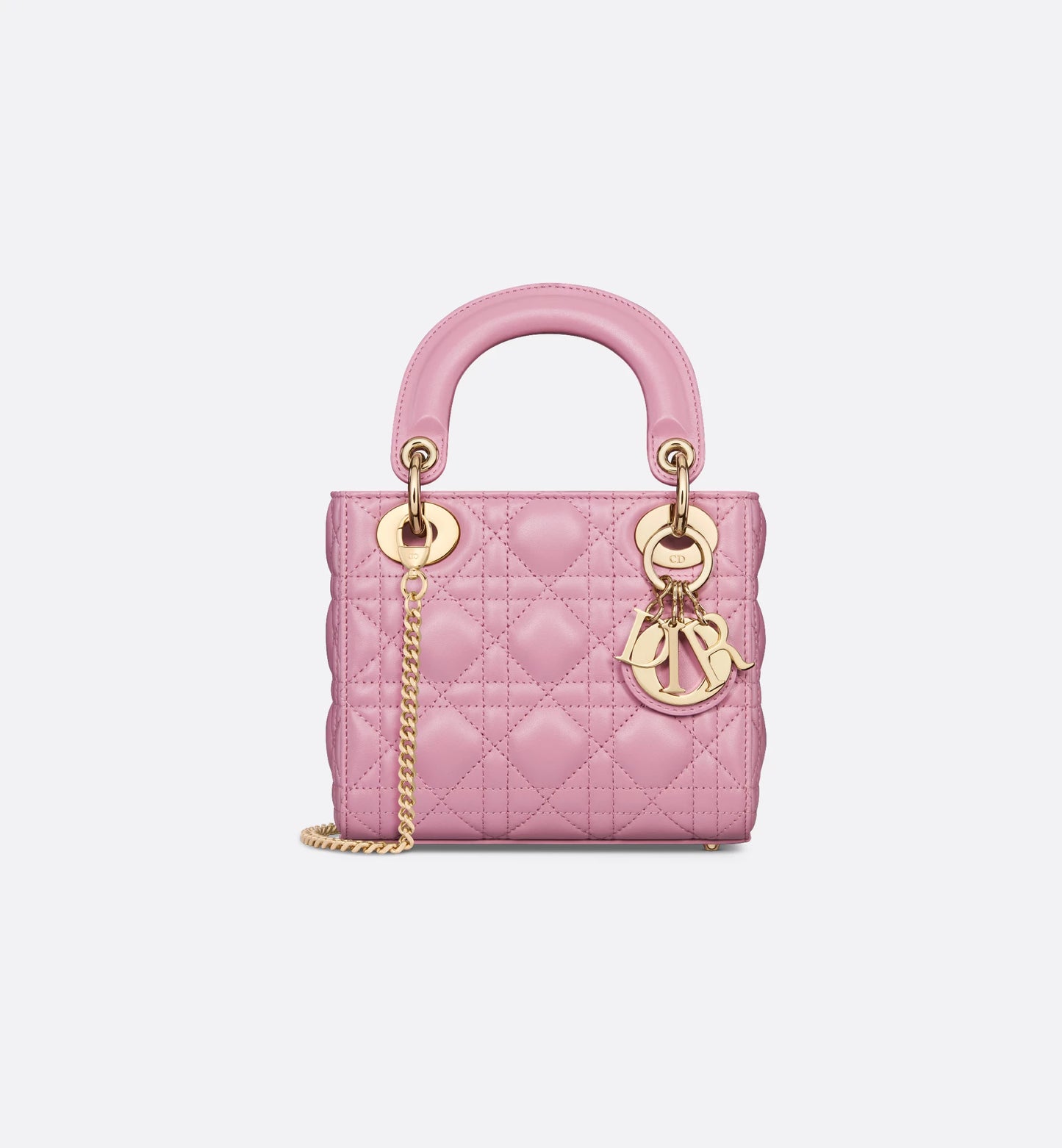 The Iconic Dior Bag