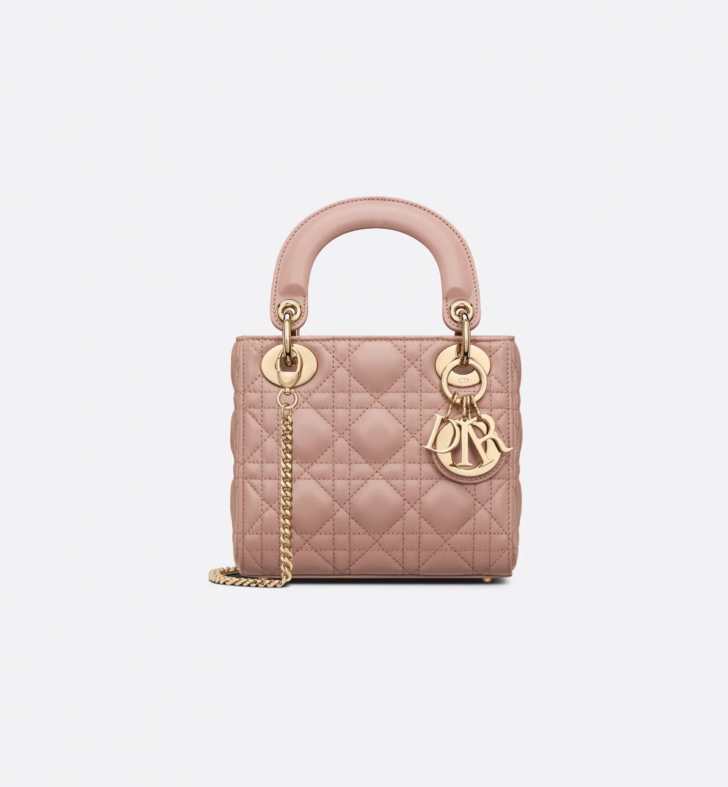 The Iconic Dior Bag