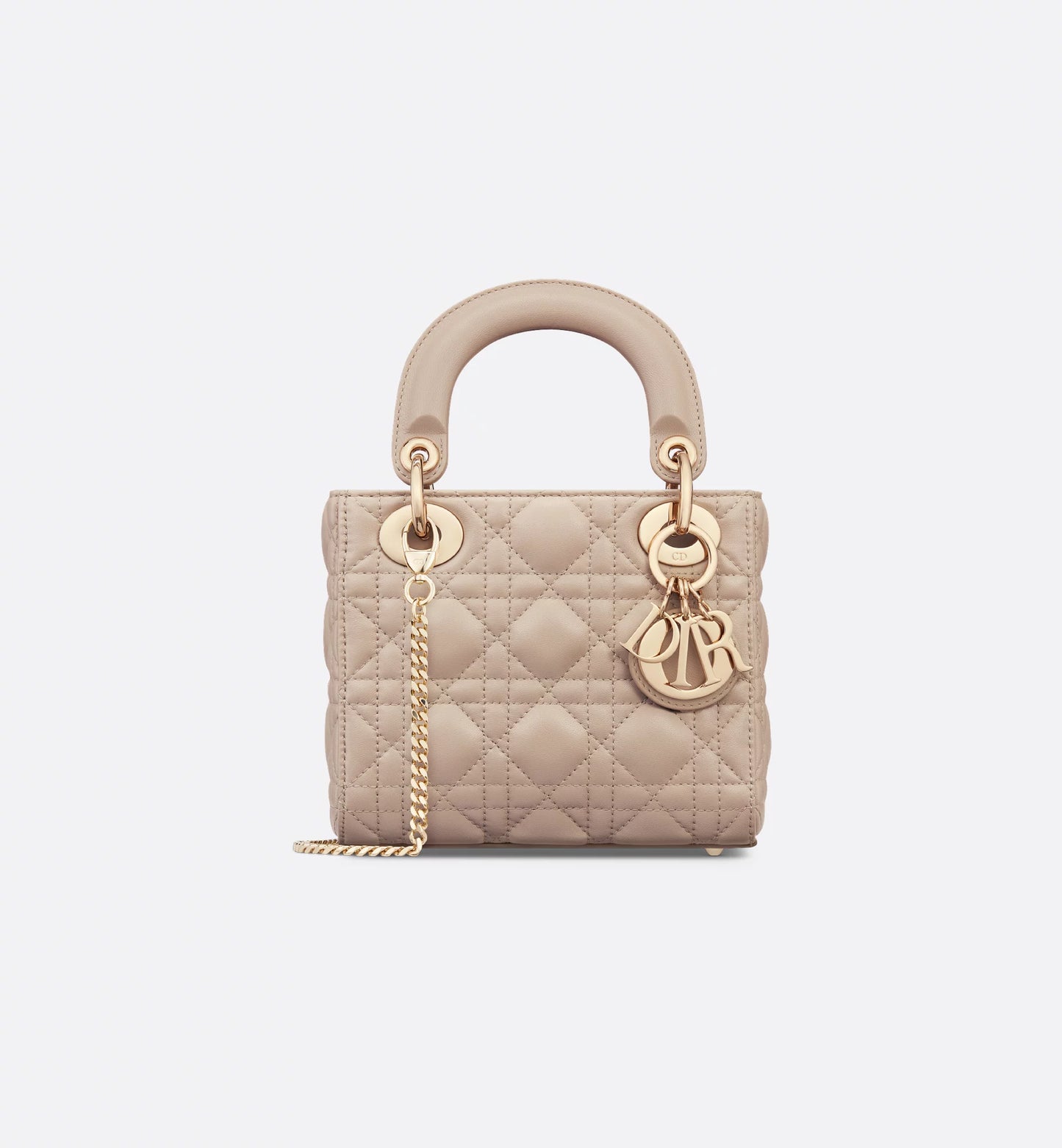 The Iconic Dior Bag