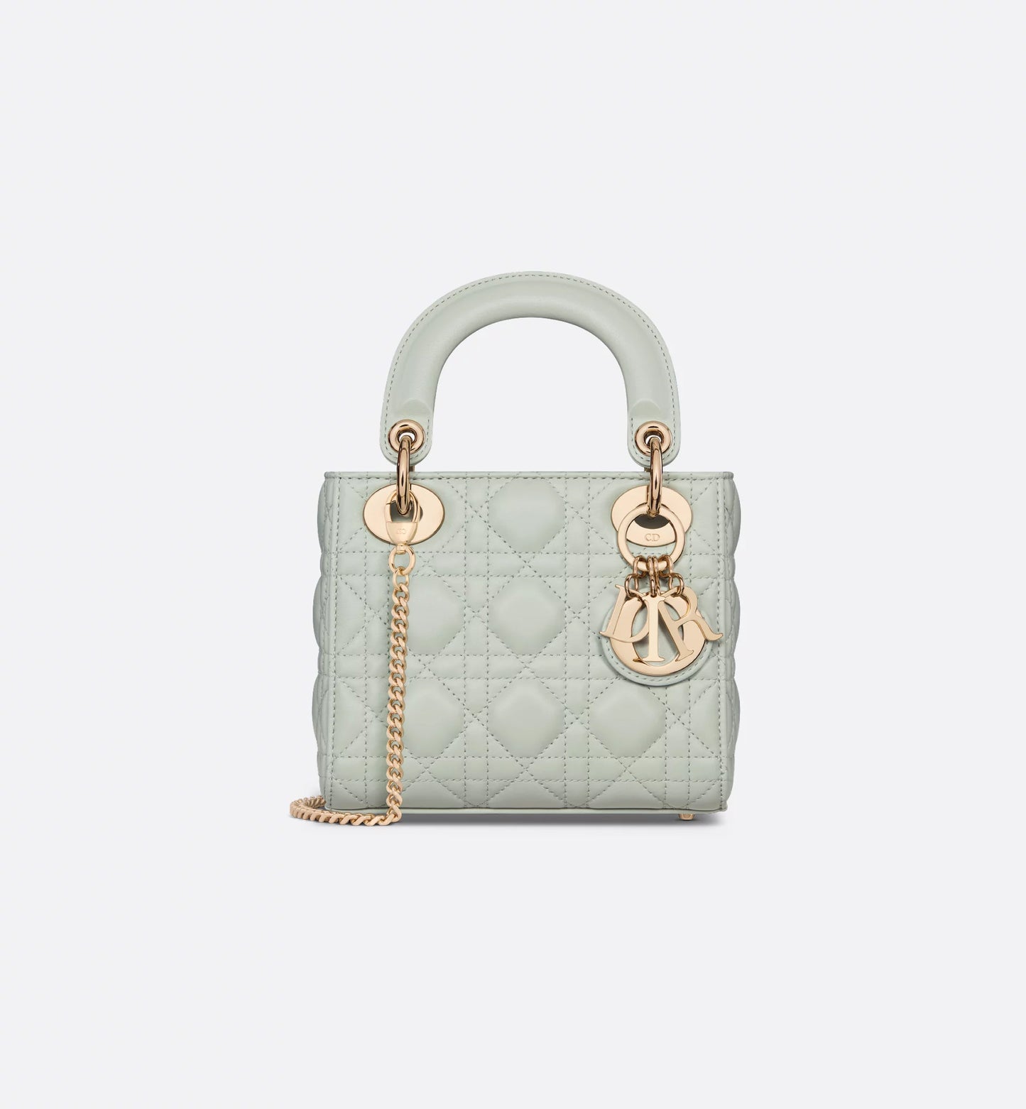 The Iconic Dior Bag