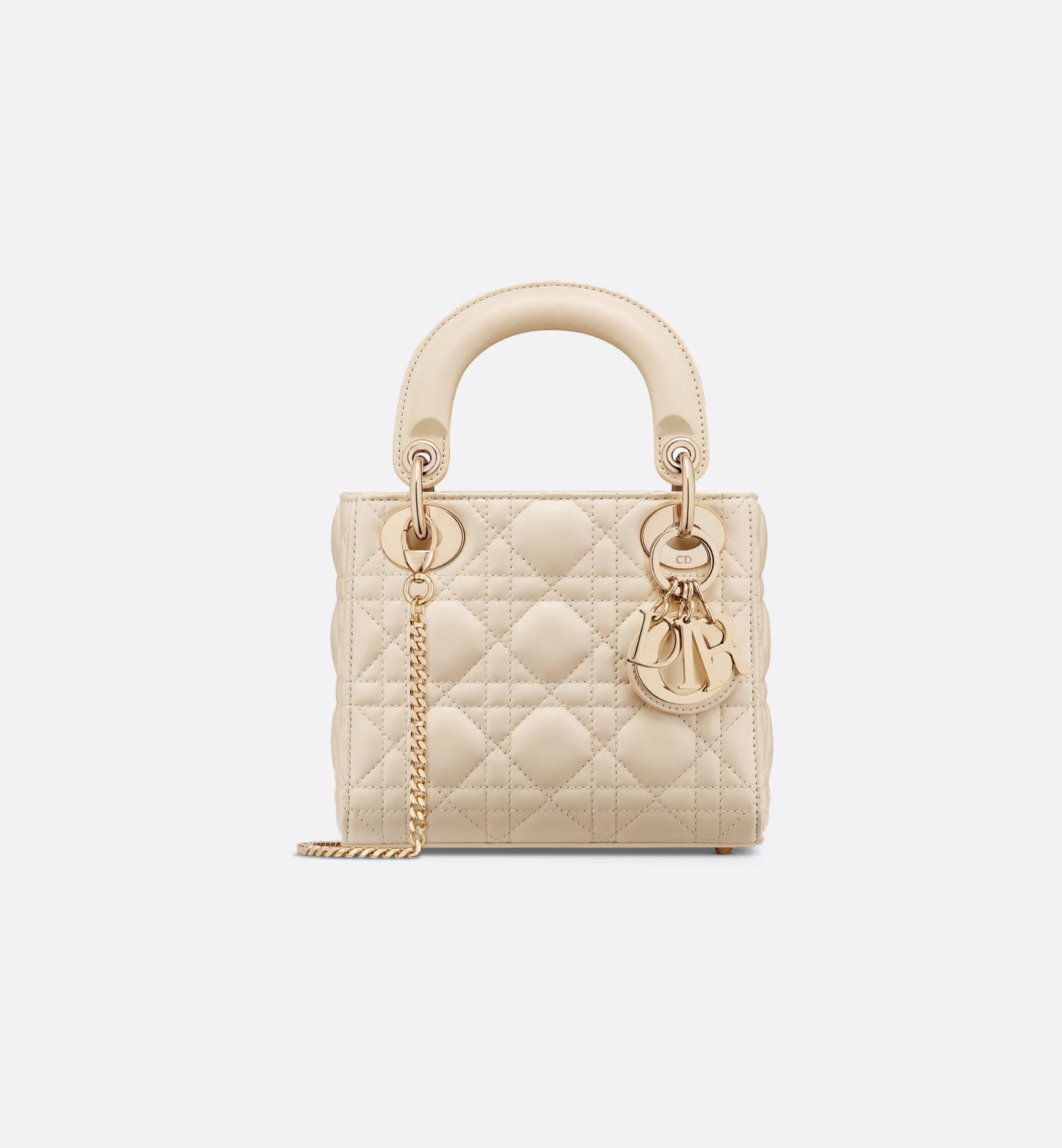 The Iconic Dior Bag