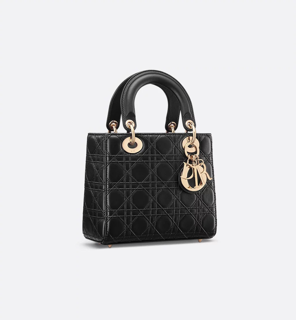 The Iconic Dior Bag